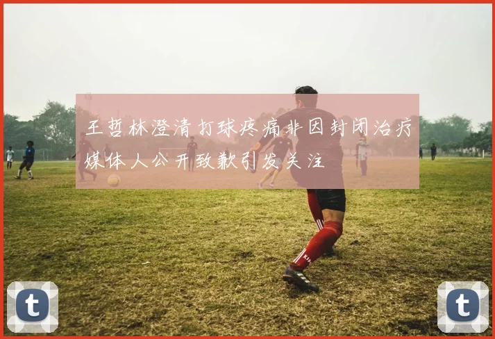 王哲林澄清打球疼痛非因封闭治疗媒体人公开致歉引发关注