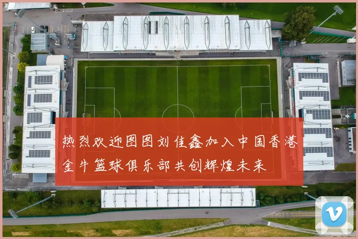 热烈欢迎图图刘佳鑫加入中国香港金牛篮球俱乐部共创辉煌未来