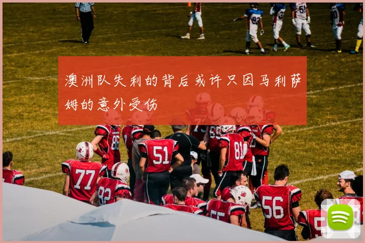 澳洲队失利的背后或许只因马利萨姆的意外受伤